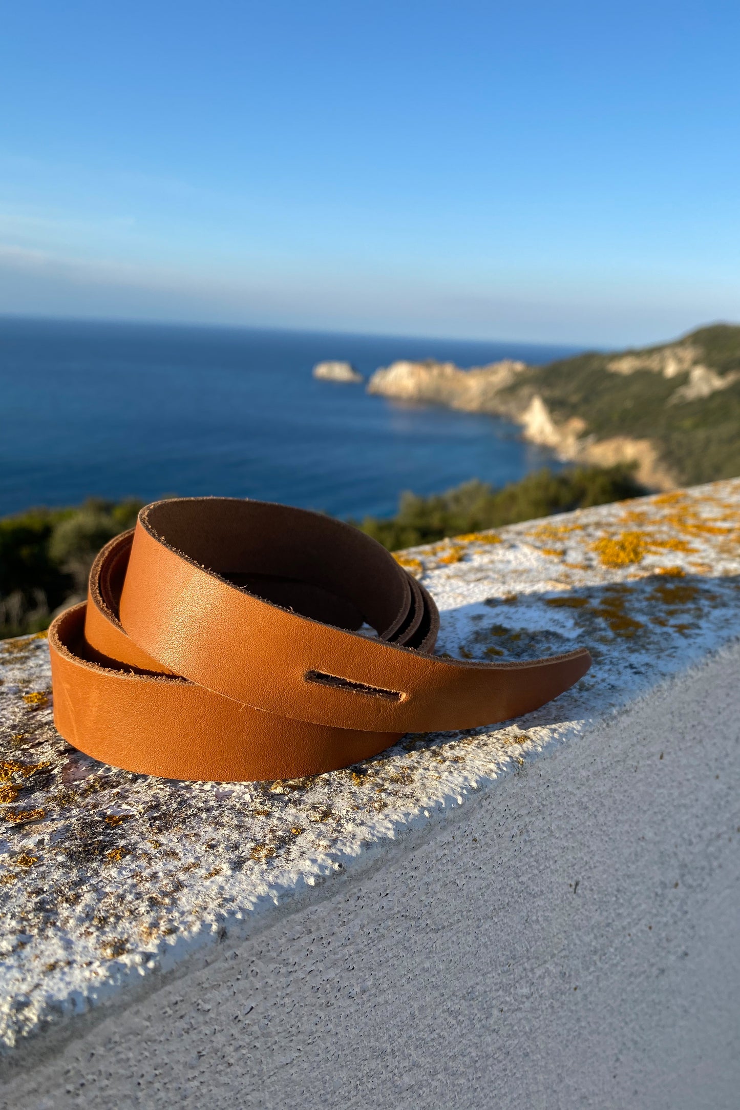 Belt